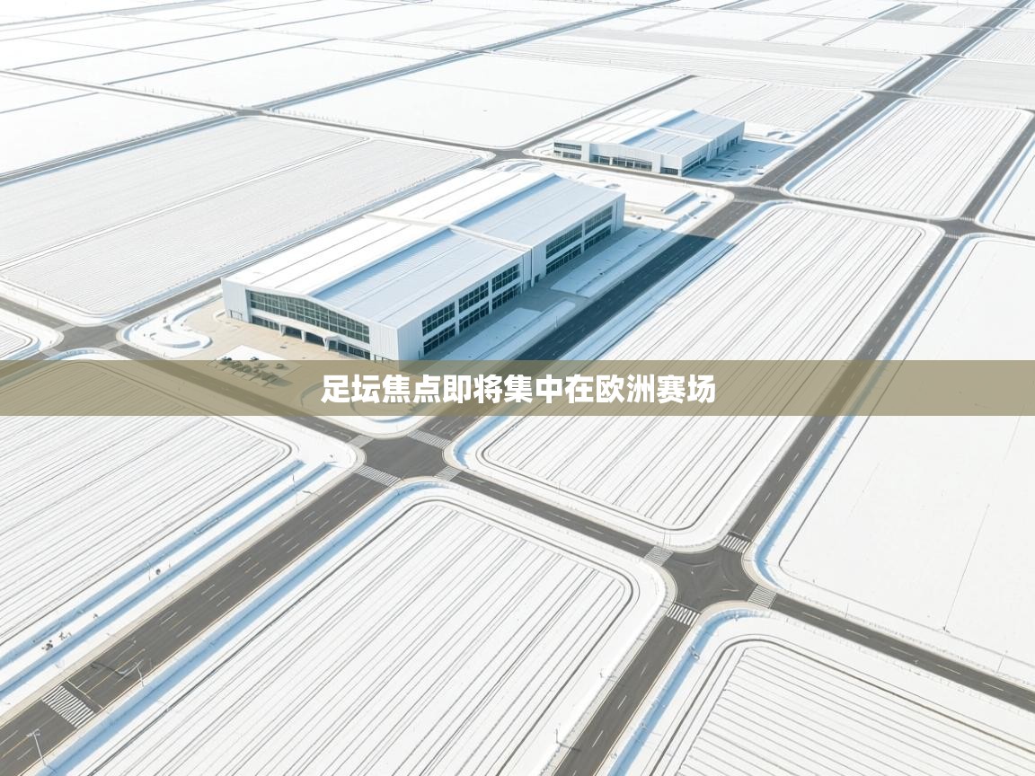 足坛焦点即将集中在欧洲赛场 第1张