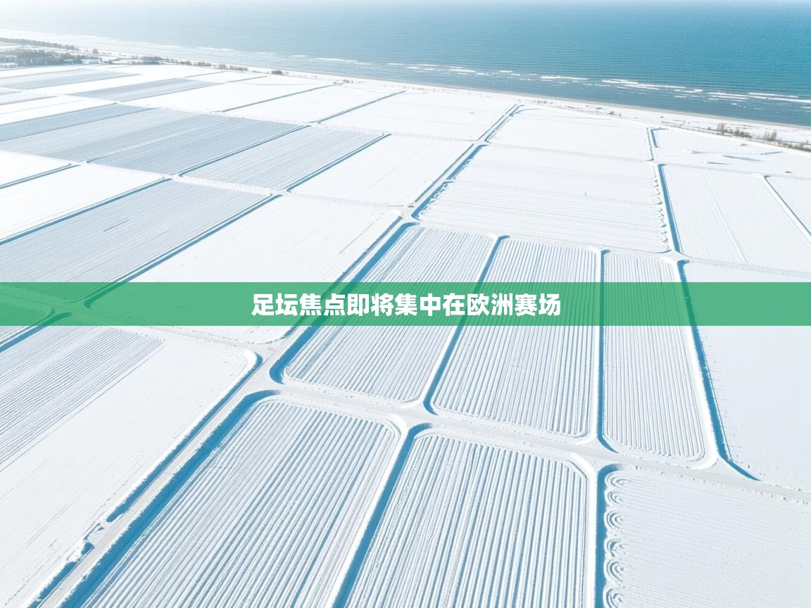 足坛焦点即将集中在欧洲赛场 第2张