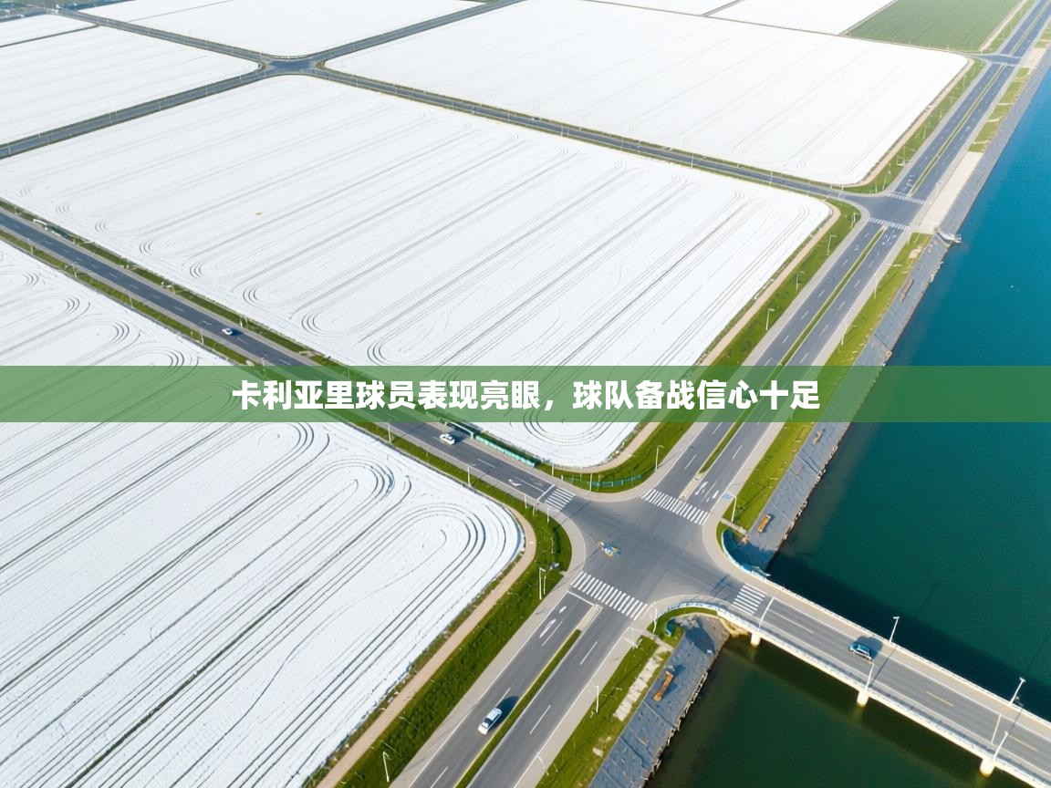 卡利亚里球员表现亮眼,球队备战信心十足 第1张