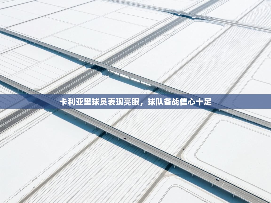 卡利亚里球员表现亮眼,球队备战信心十足 第2张