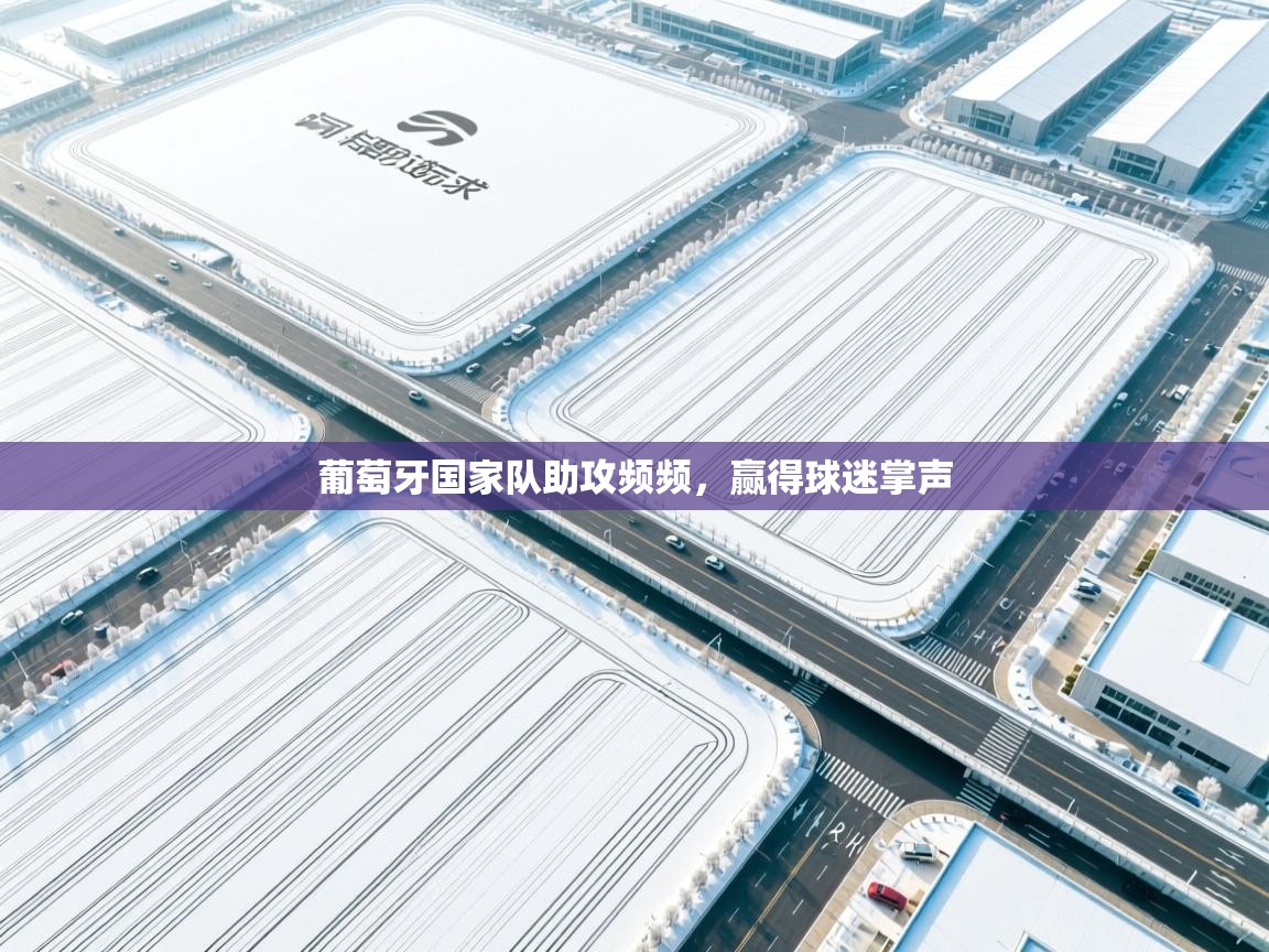 葡萄牙国家队助攻频频，赢得球迷掌声  第1张