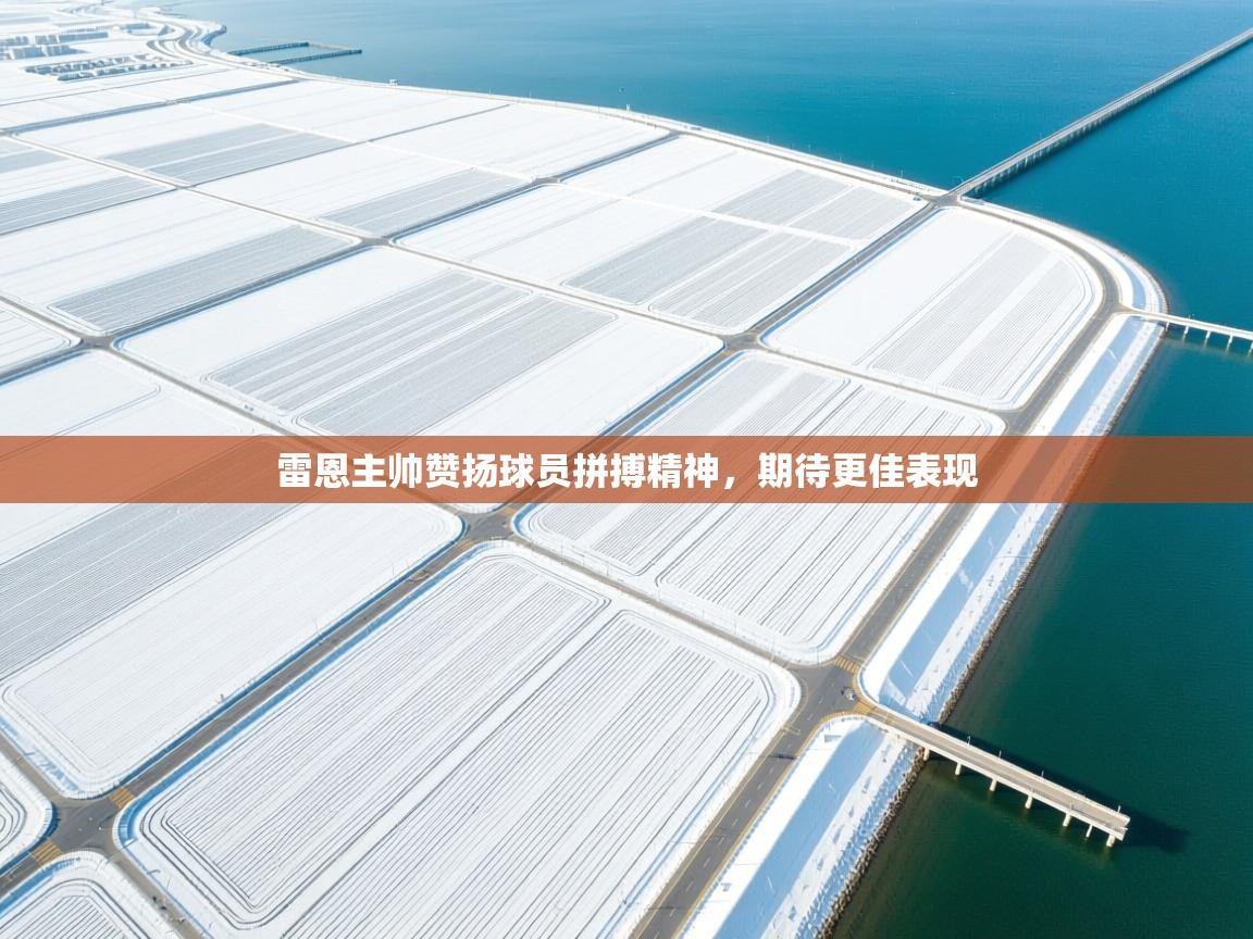 雷恩主帅赞扬球员拼搏精神，期待更佳表现  第2张