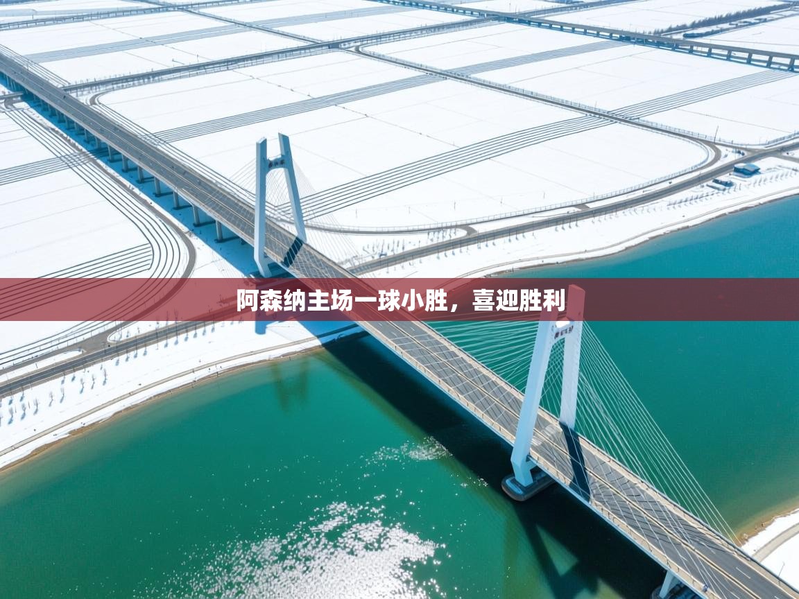 阿森纳主场一球小胜，喜迎胜利  第2张