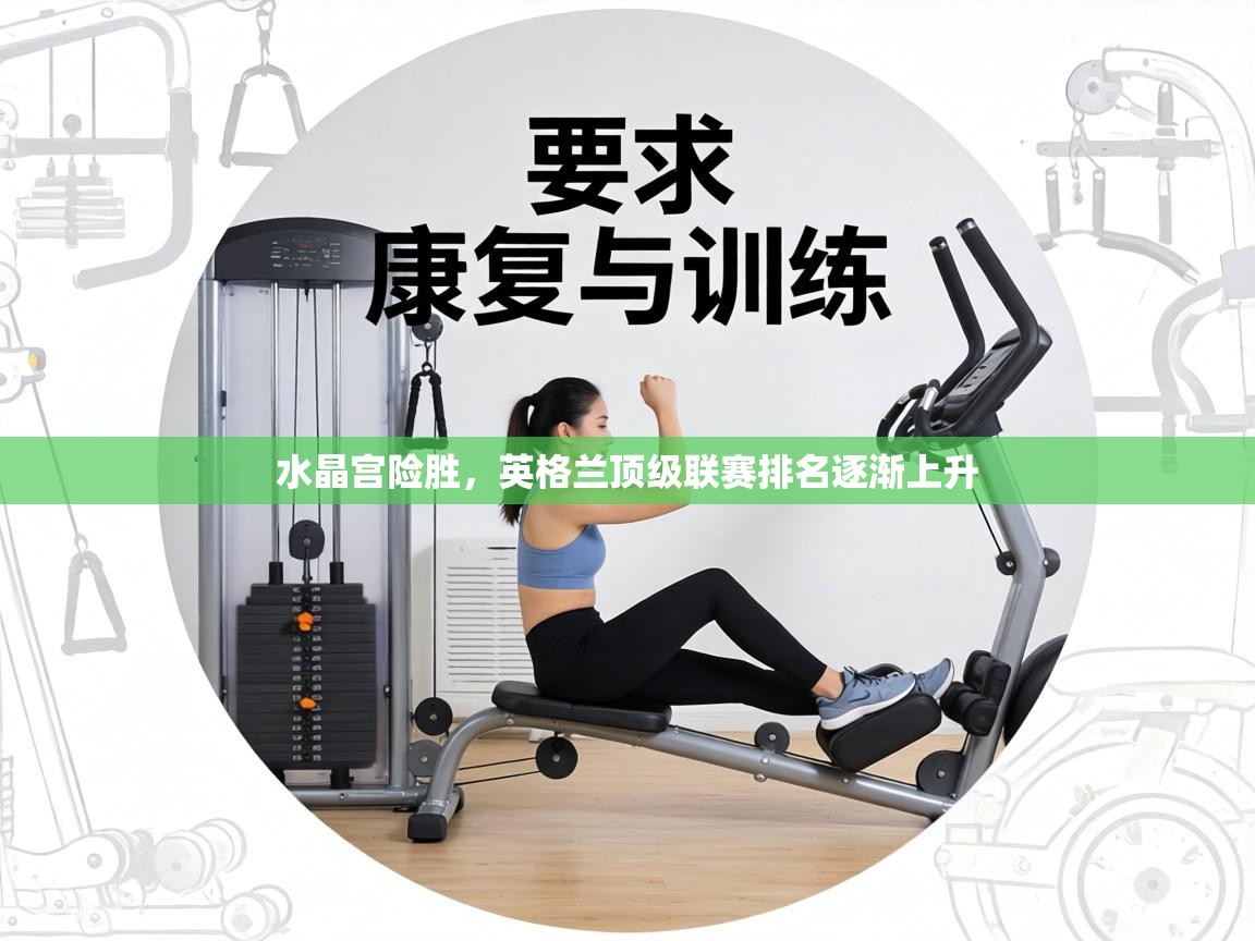 水晶宫险胜,英格兰顶级联赛排名逐渐上升 第1张