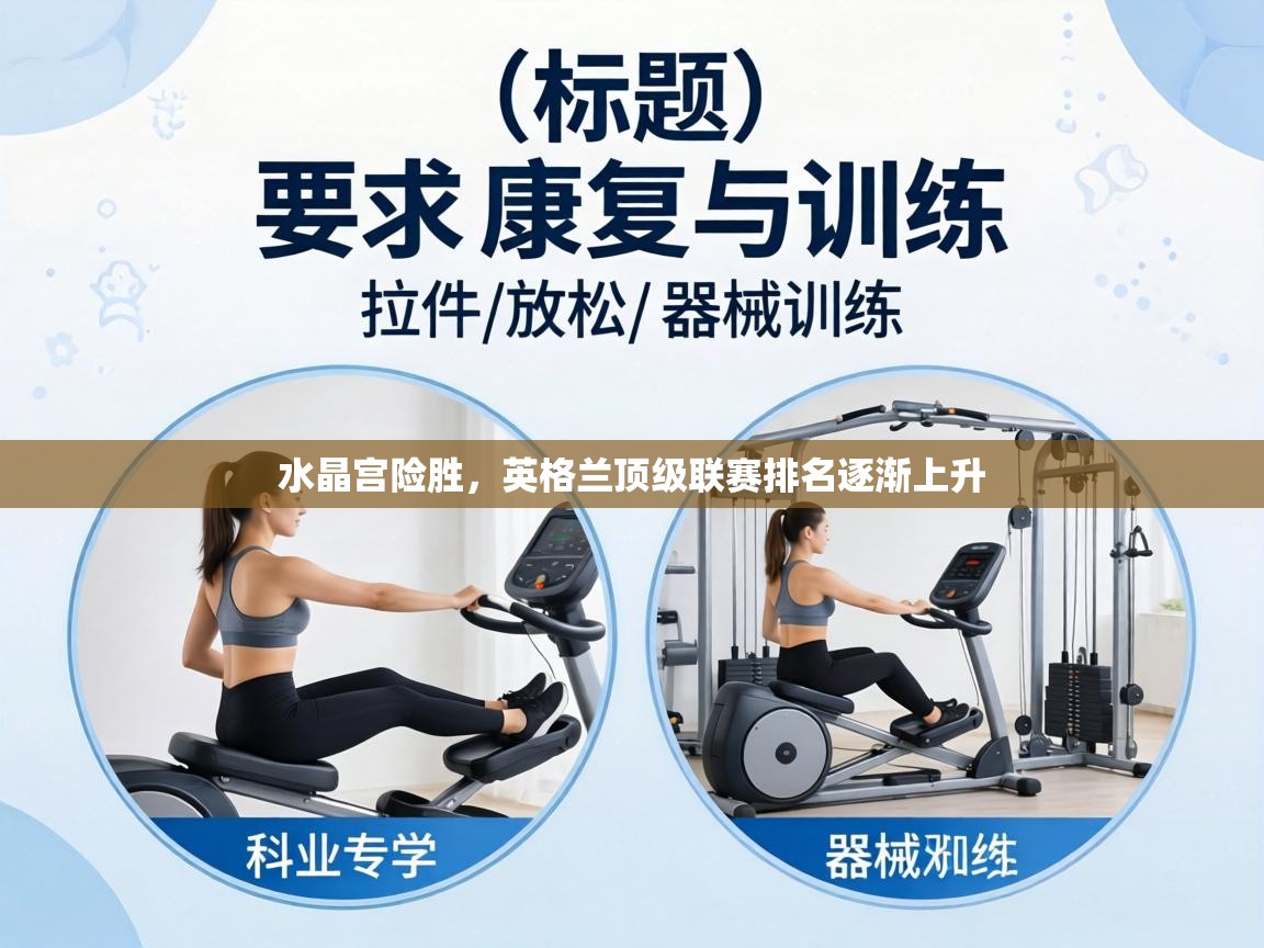 水晶宫险胜,英格兰顶级联赛排名逐渐上升 第2张