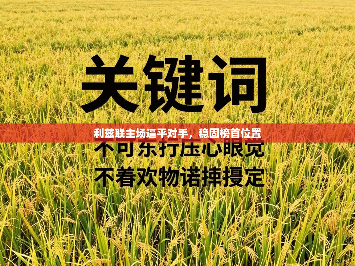 利兹联主场逼平对手，稳固榜首位置  第1张